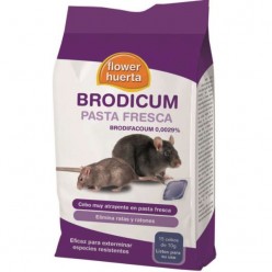 BRODICUM PASTA FRESCA...