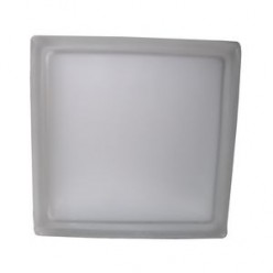 BLOCOS VIDRO 19x19x8...