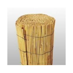 BAMBU CHINES 1X5m