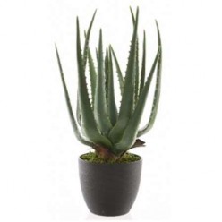 PLANTA ARTIFICIAL ALOÉ