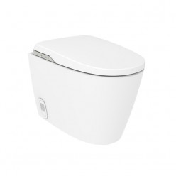 IN-WASH INSIGNIA C/IN-TANK...