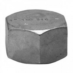 TAMPÃO FÊMEA INOX 316...