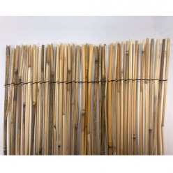 BAMBU CHINÊS 1,5X5M