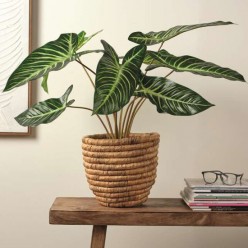 PLANTA ARTIFICIAL CALADIUM...