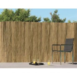 BAMBU CHINES 2X5m