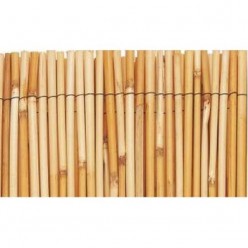 BAMBU CHINÊS NATURAL 1.50X5M